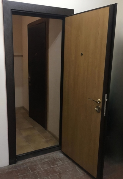Квартирная дверь с ламинатом